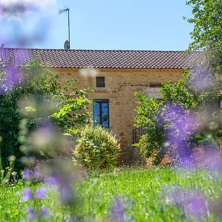 Maison De Charme Lotoise Proche Bonaguil *